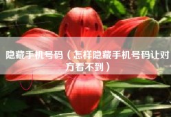 隐藏手机号码（怎样隐藏手机号码让对方看不到）