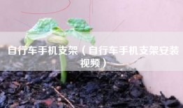 自行车手机支架（自行车手机支架安装视频）