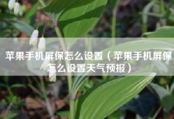 苹果手机屏保怎么设置（苹果手机屏保怎么设置天气预报）