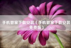 手机管家下载安装（手机管家下载安装免费版）