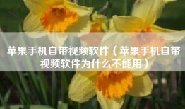 苹果手机自带视频软件（苹果手机自带视频软件为什么不能用）