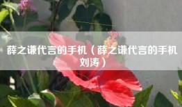 薛之谦代言的手机（薛之谦代言的手机刘涛）