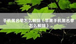 手机黑名单怎么解除（苹果手机黑名单怎么解除）