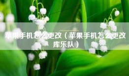 苹果手机怎么更改（苹果手机怎么更改库乐队）