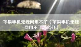 苹果手机无线网用不了（苹果手机无线网用不了怎么办）