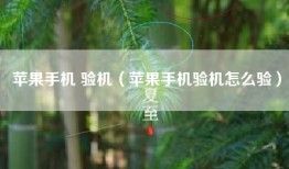 苹果手机 验机（苹果手机验机怎么验）