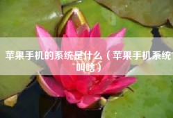 苹果手机的系统是什么（苹果手机系统叫啥）