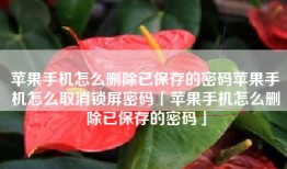 苹果手机怎么删除已保存的密码苹果手机怎么取消锁屏密码「苹果手机怎么删除已保存的密码」