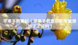 苹果手机重启（苹果手机重启后电量增加了正常吗）