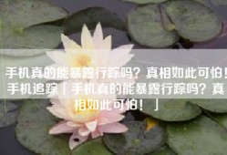 手机真的能暴露行踪吗？真相如此可怕！手机追踪「手机真的能暴露行踪吗？真相如此可怕！」