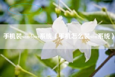 手机装windows系统（手机怎么装win系统）