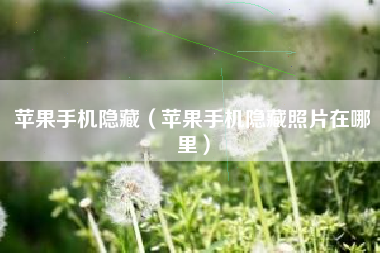 苹果手机隐藏（苹果手机隐藏照片在哪里）