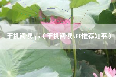 手机阅读app（手机阅读APP推荐知乎）