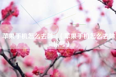 苹果手机怎么去除id（苹果手机怎么去除id帐号）